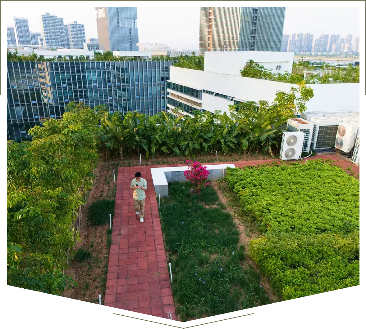 City skyline view from rooftop garden